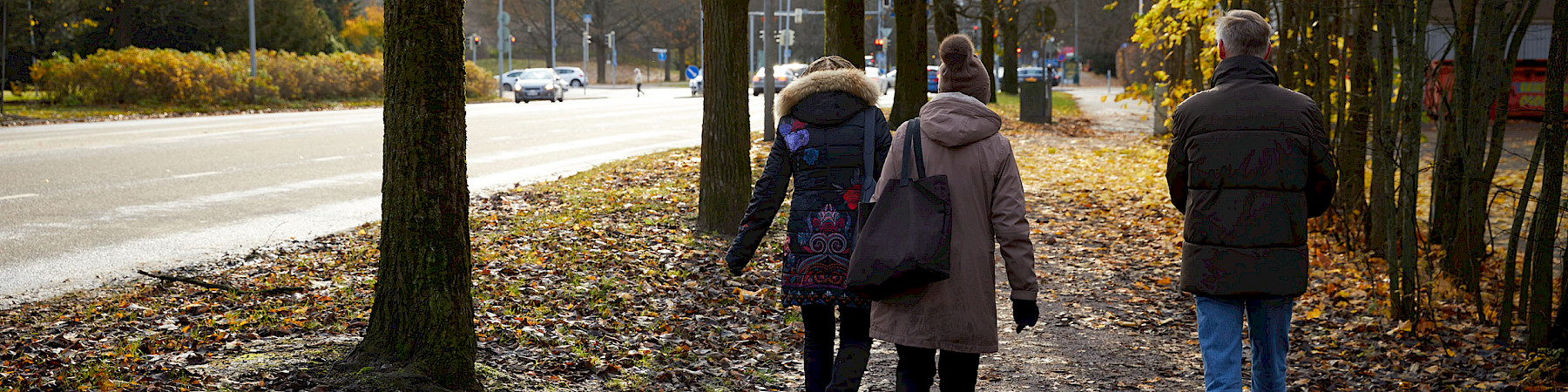 Senioreita on kannustettava turvalliseen  ulkoiluun myös koronapandemian aikana