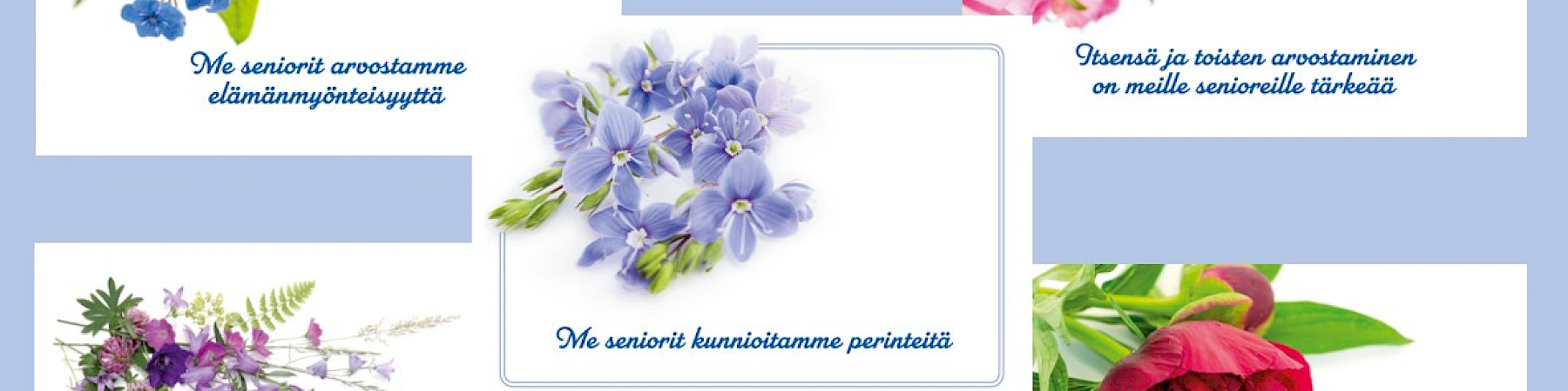 Senioriliiton uusi korttisarja myynnissä!